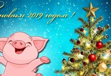Прикольные смс поздравления С Новым годом свиньи 2019