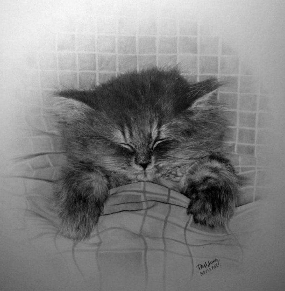 Грустный котенок рисунок