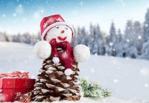 Поздравления С Новым годом 2019 свиньи шуточные