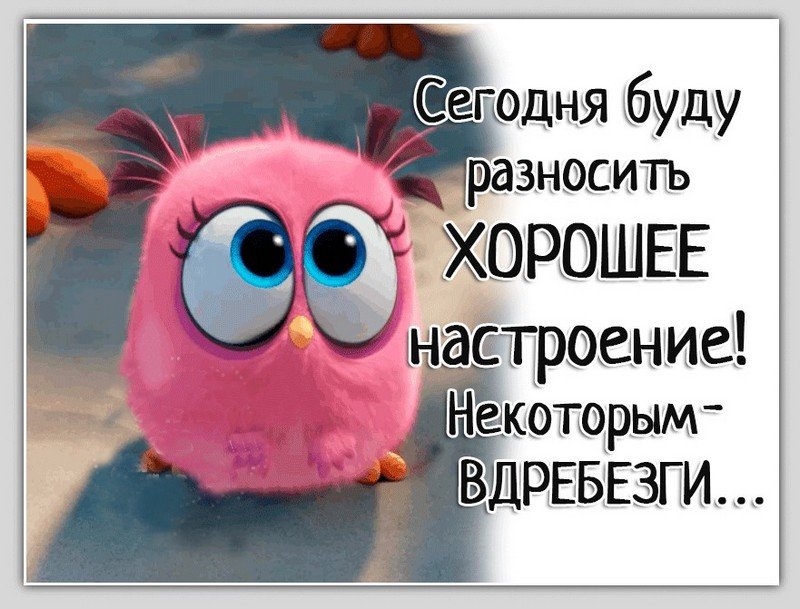 Картинки смешные с надписями для настроения про жизнь