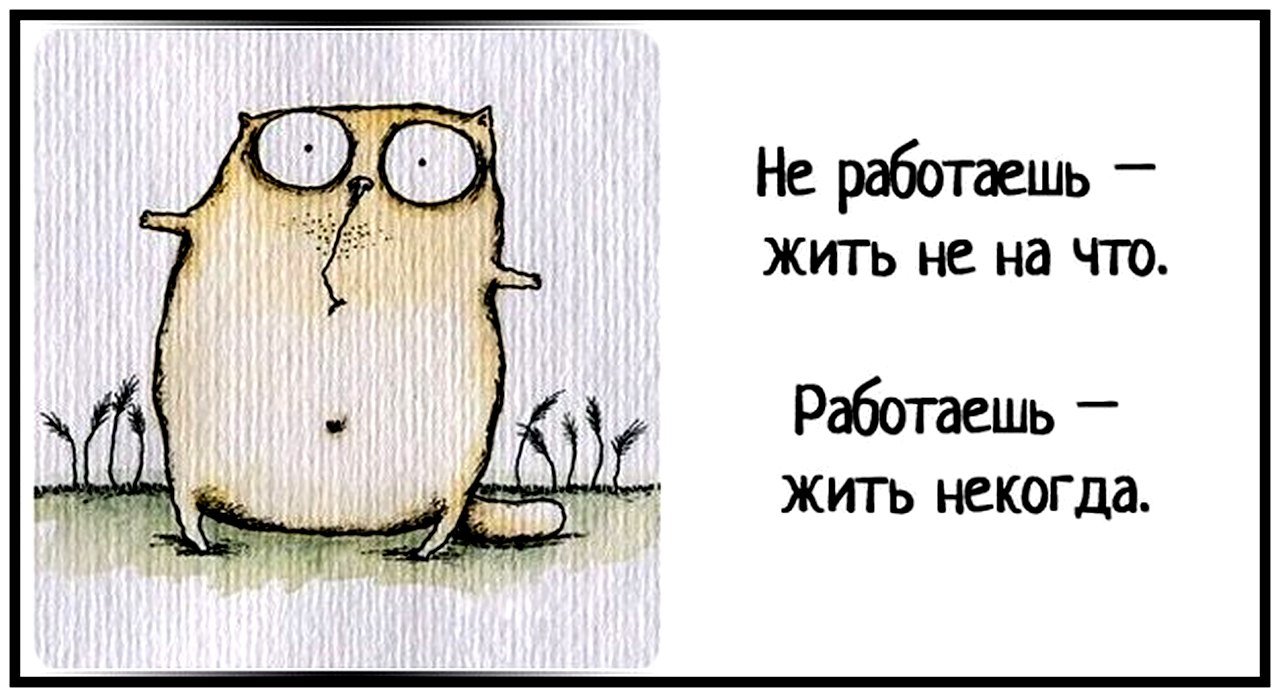 Работа смешные картинки с надписями