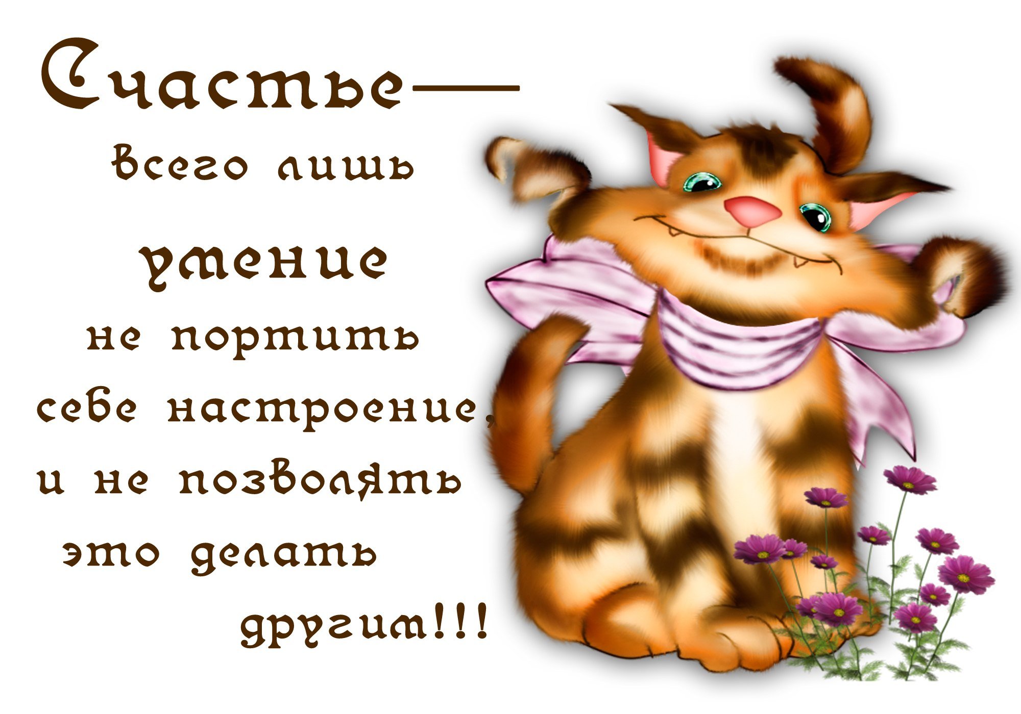 Картинки про позитив с надписями