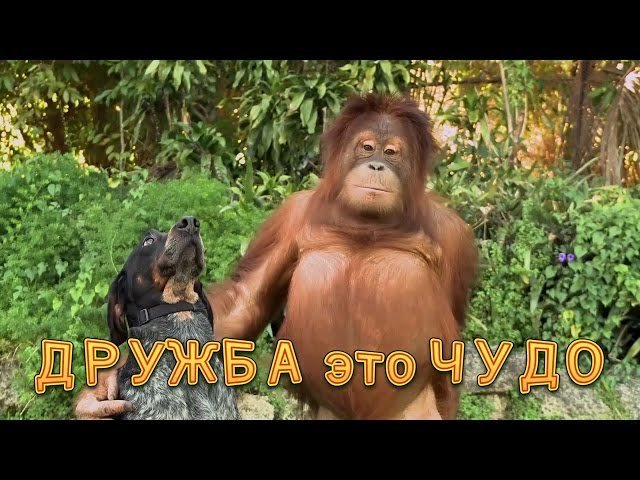 Фото Для Группы Друзей Смешная