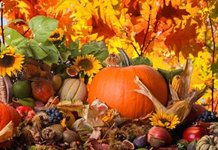 Дары природы
