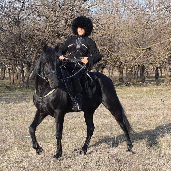 Джигит на коне Джигит на коне