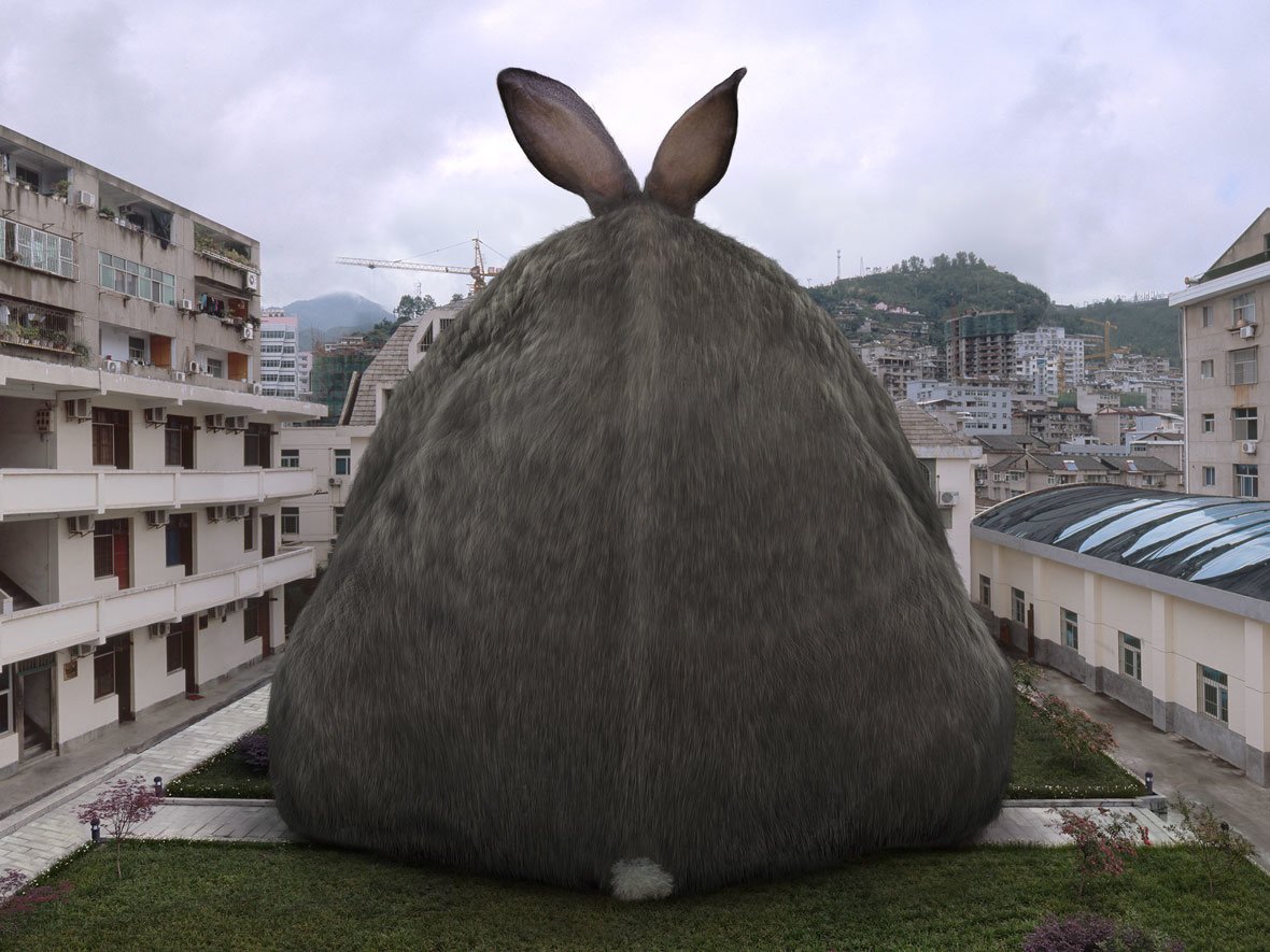 Громадный и толстый. Гигантский кролик. Огромный заяц. Самый гигантский кролик. Жирный кролик.