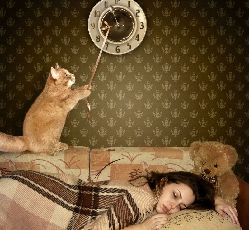 Кот меняет время