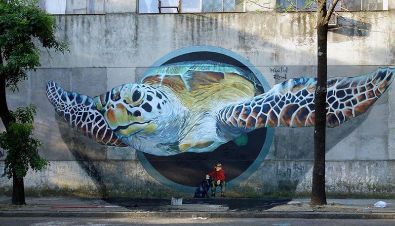 Черепаха граффити