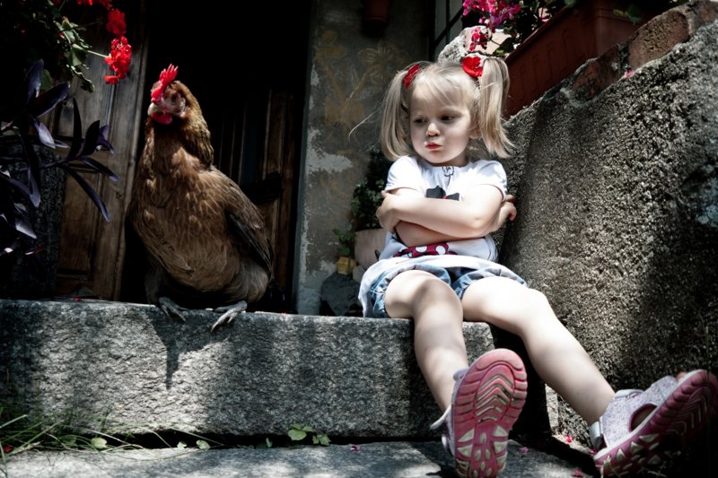 Девочка и курица