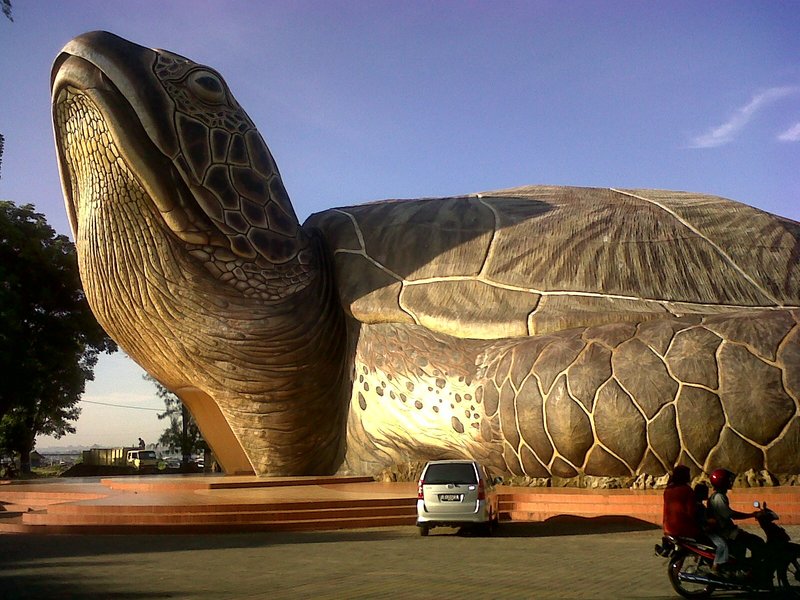Здание гигантской черепахи
