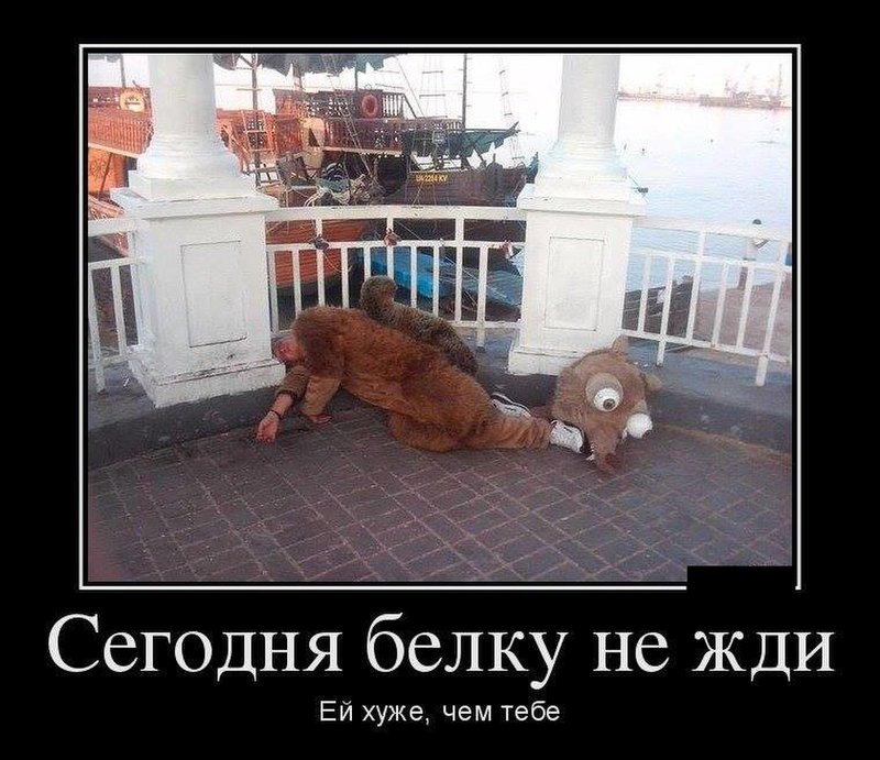 Костюм белки