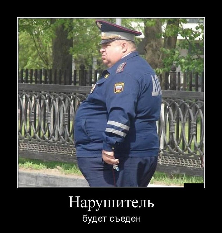 Толстый полицейский