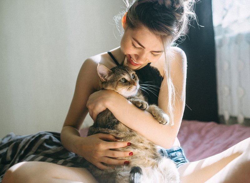 Девушка обнимает котика