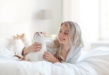 Милые девушки и котики