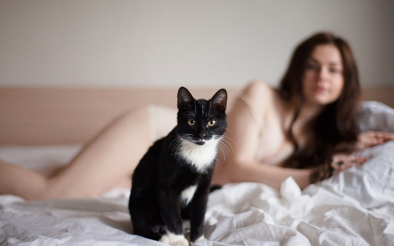 Шатенка и черный котенок