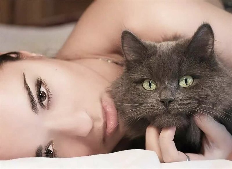 Брюнетка и серый кот