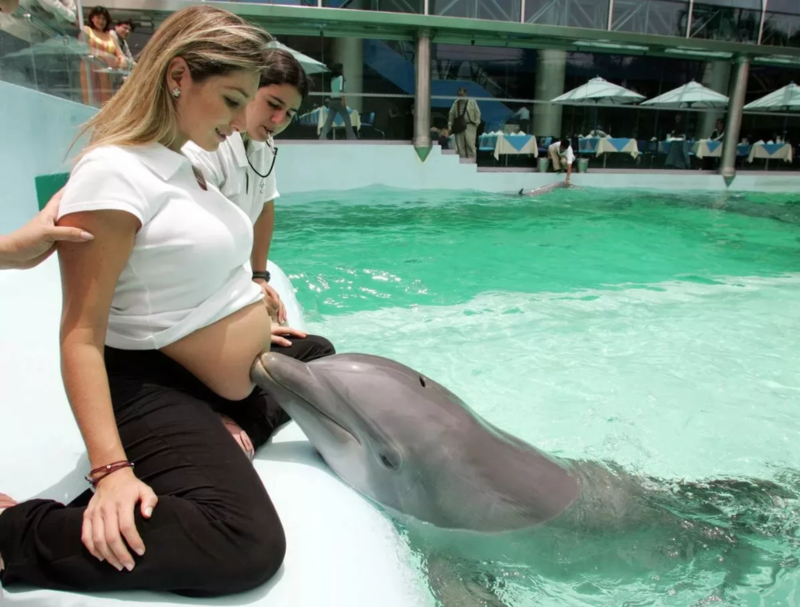 Беременная с дельфином