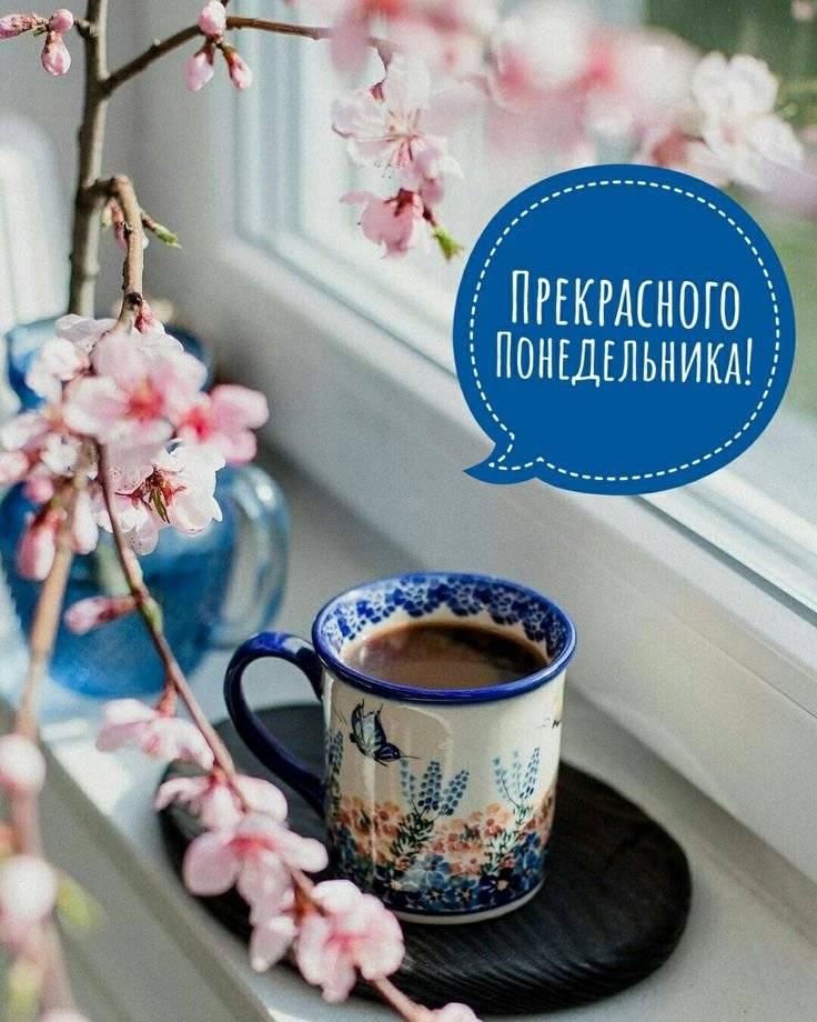 Доброе утро понедельника картинки