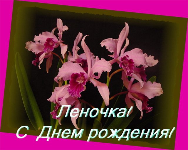 Картинки с днем рождения лена
