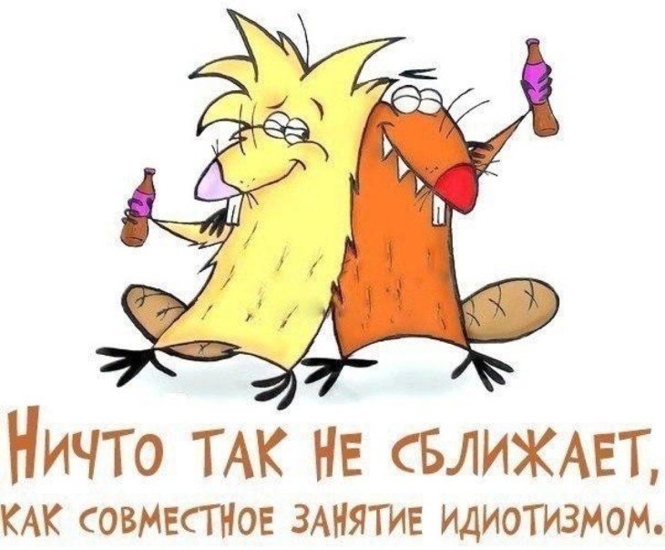 Забавные картинки для поднятия настроения