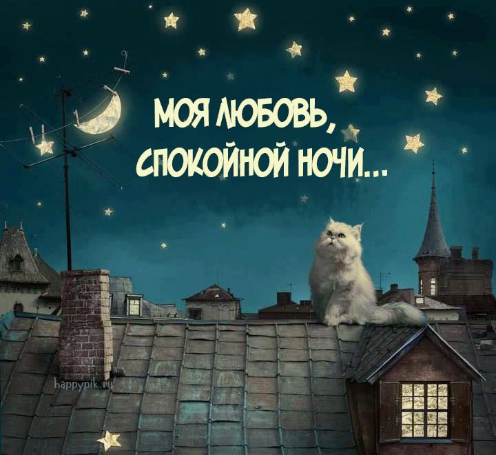 Картинки спокойной ночи красивые с юмором