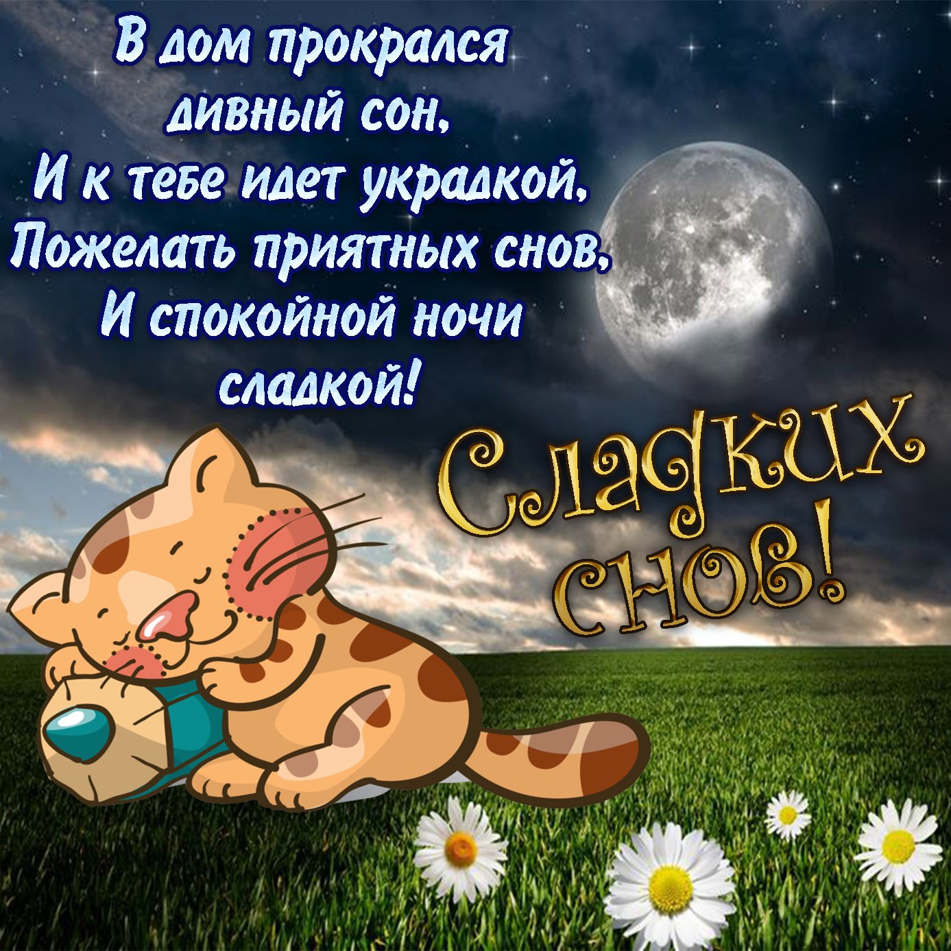 Картинки спокойной ночи красивые с юмором
