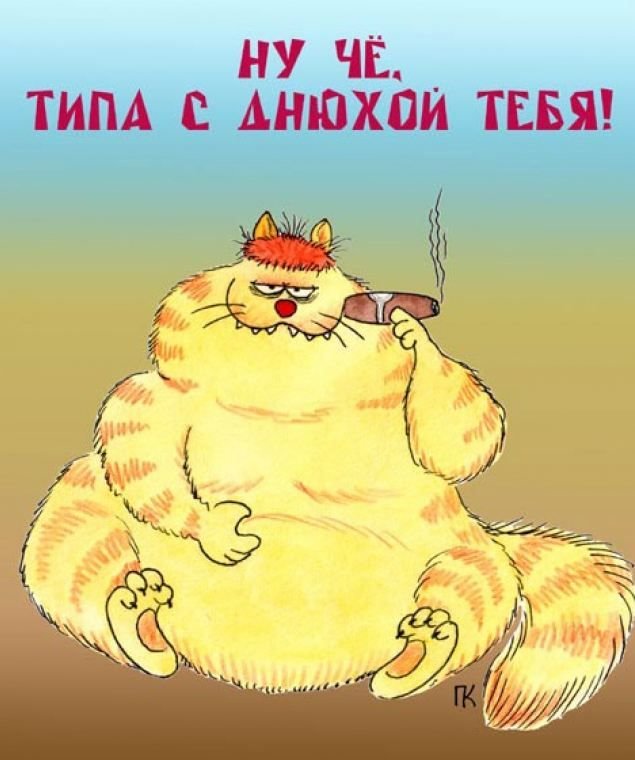 С днюшкой картинки прикольные