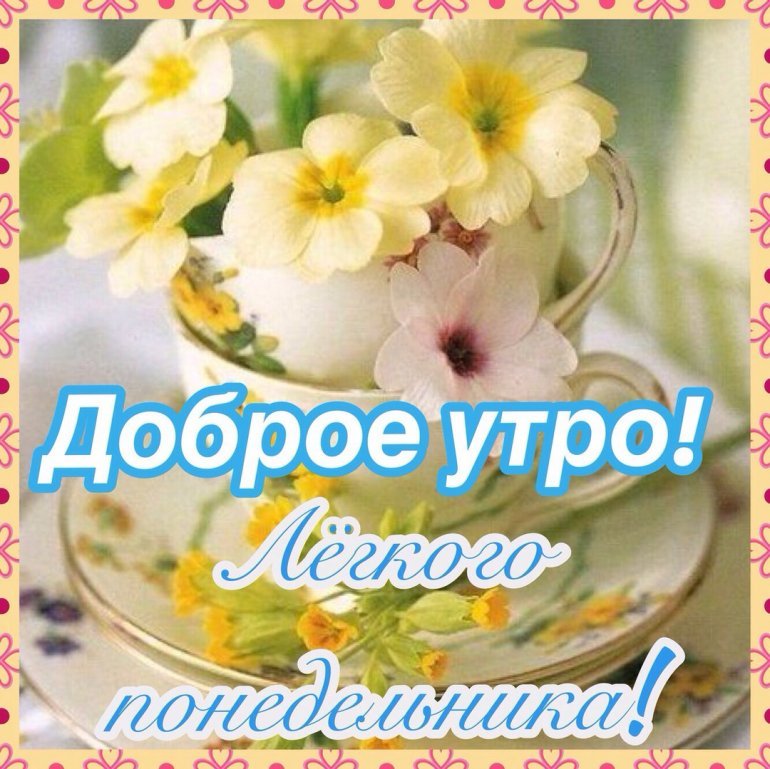 Доброе утро понедельника картинки