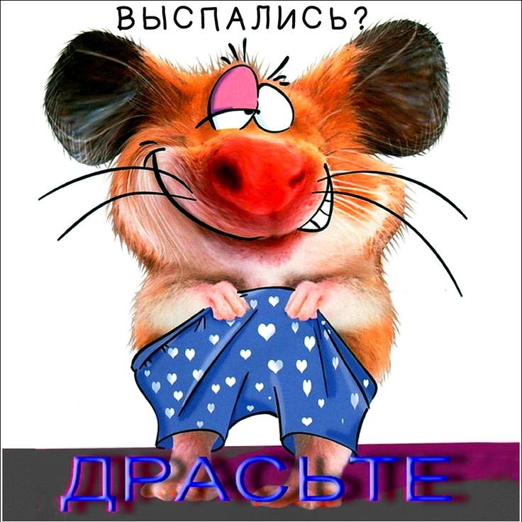 Привет картинки