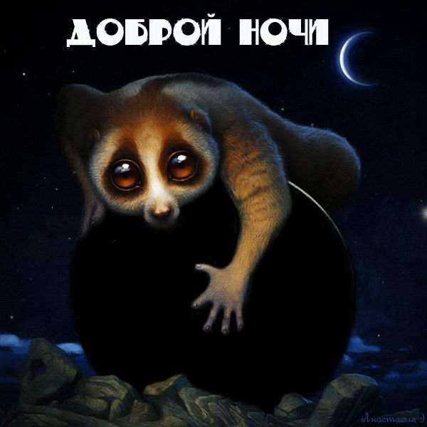 Картинки спокойной ночи красивые с юмором