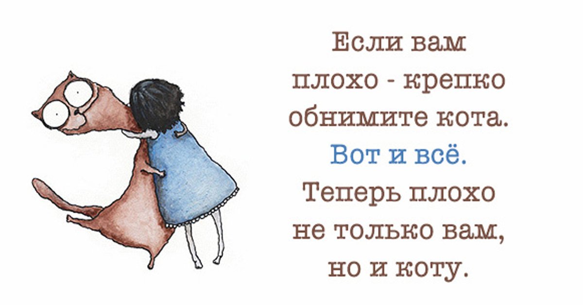 Забавные картинки для поднятия настроения