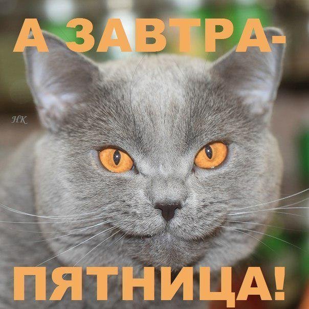 Завтра пятница картинки прикольные