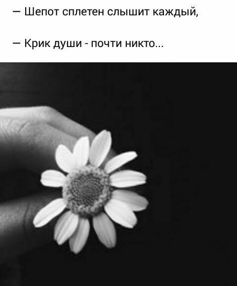 Крик души картинки