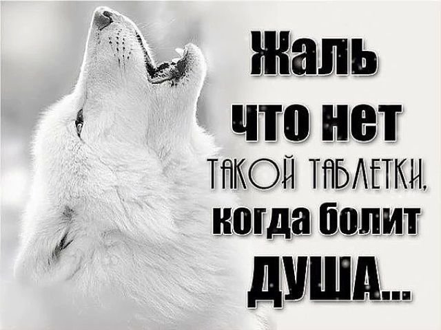 Крик души картинки