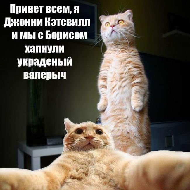 Привет картинки
