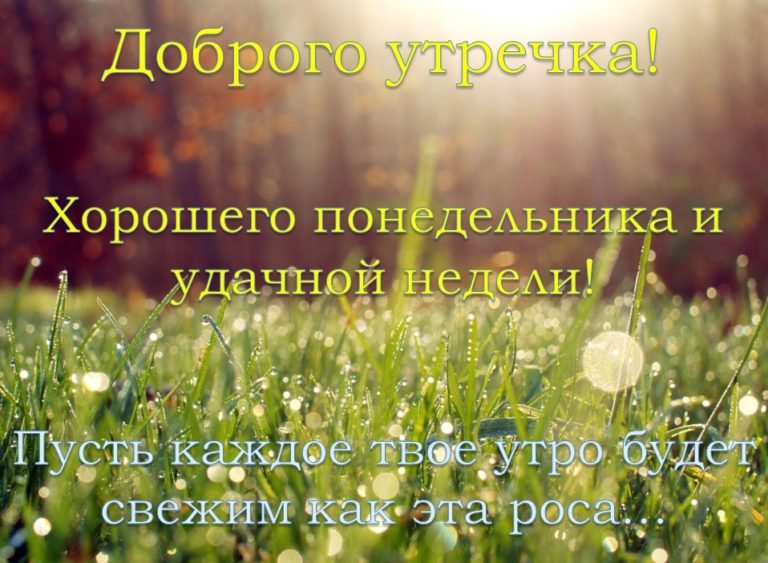 Доброе утро понедельника картинки
