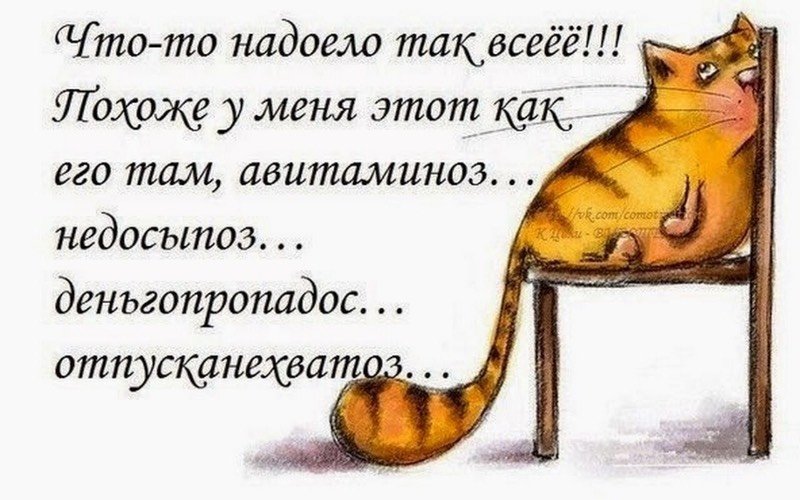 Забавные картинки для поднятия настроения