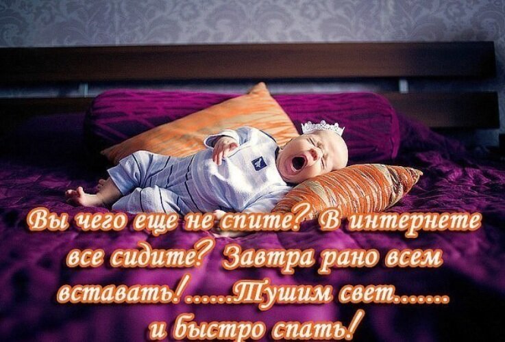 Картинки спокойной ночи красивые с юмором