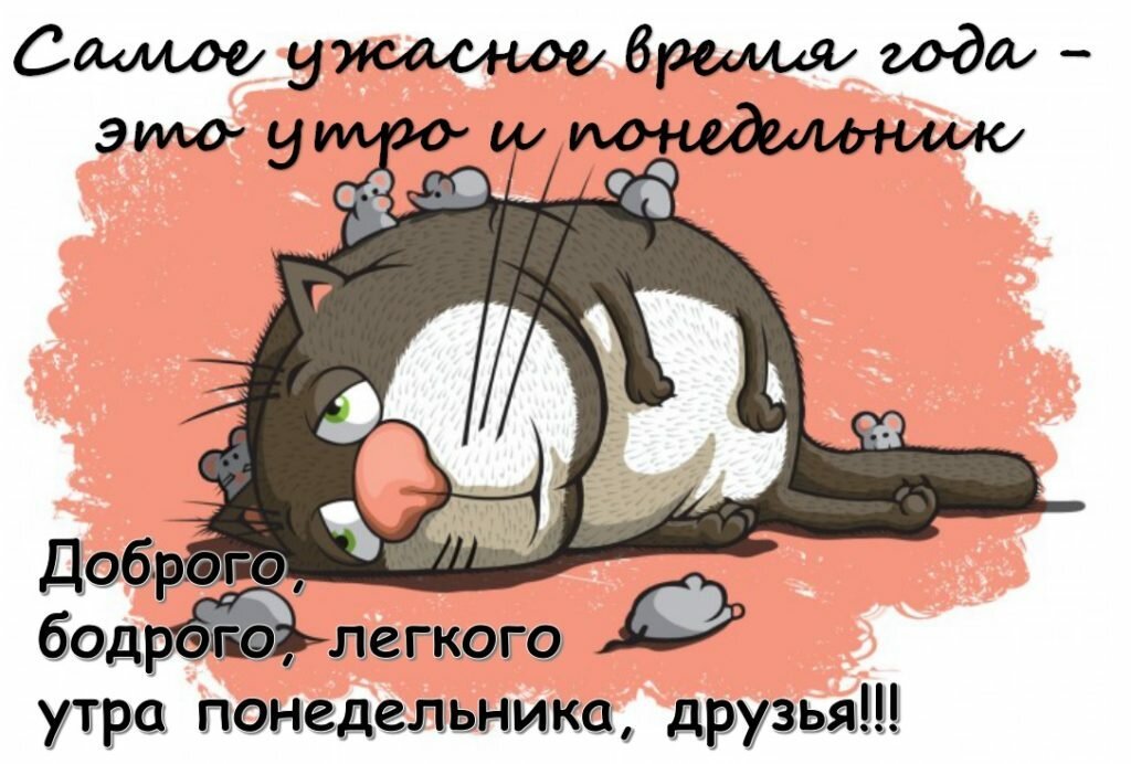 Доброе утро понедельника картинки