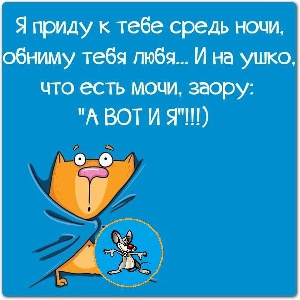 Картинки спокойной ночи красивые с юмором
