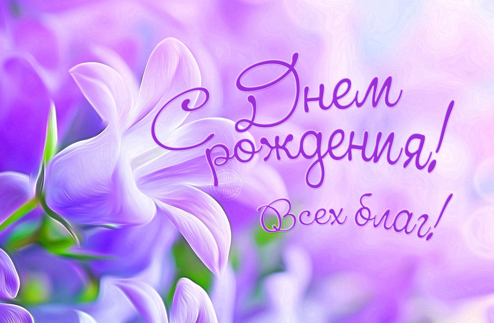 С днем рождения в сиреневом цвете