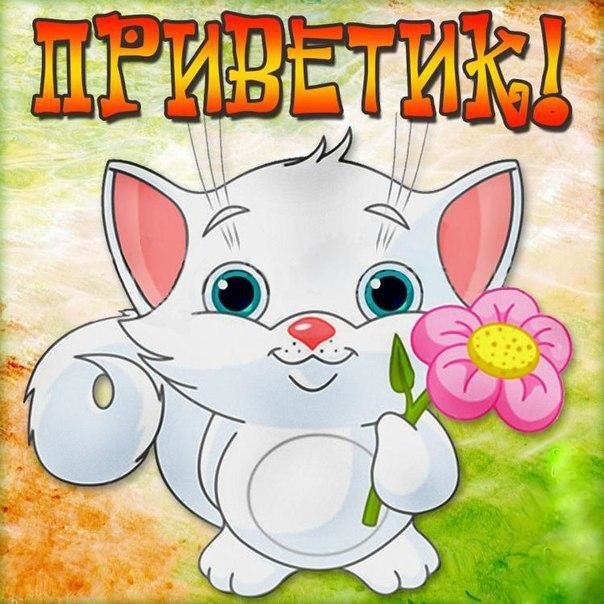 Привет картинки