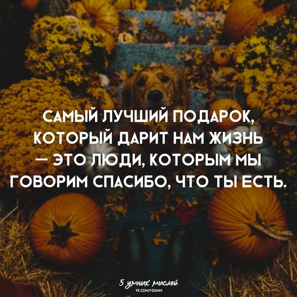 Крик души картинки