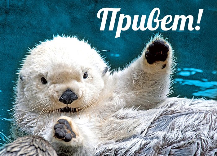 Привет картинки