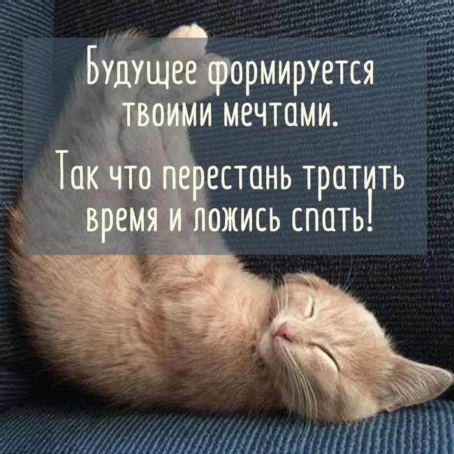 Картинки спокойной ночи красивые с юмором