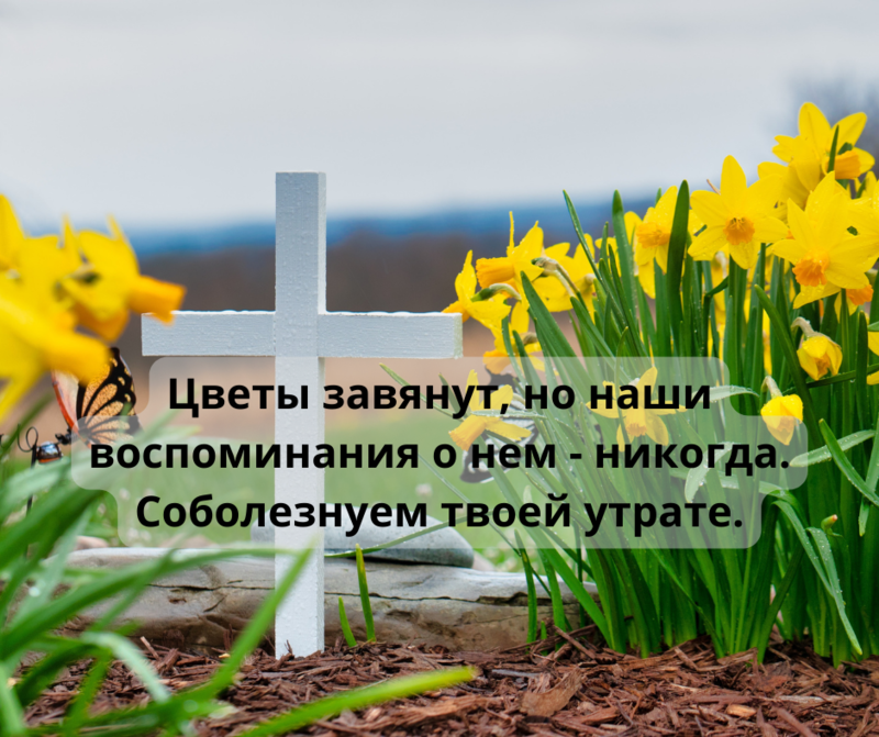 Слова соболезнования по поводу крокус. Слова соболезнования по поводу смерти. Красивые слова соболезнования по поводу смерти. Соболезнования о смерти слова коротко. Соболезнование по поводу смерти своими словами короткие.